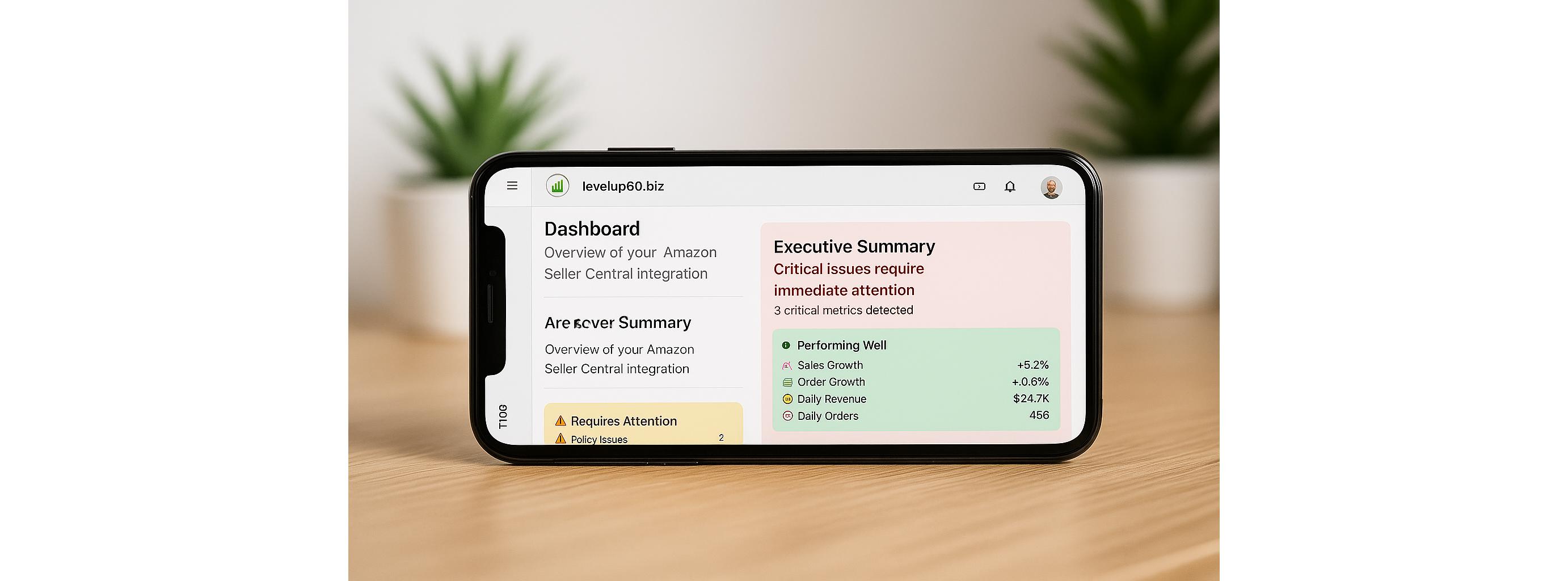C-Suite  Dashboard – The Executive's View